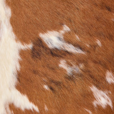 Cowhide Rug DEC25-063 (210cm x 190cm)