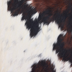 Cowhide Rug DEC25-079 (230cm x 220cm)
