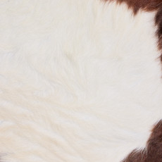 Cowhide Rug DEC25-083 (220cm x 200cm)