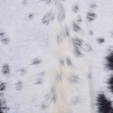 Cowhide Rug FEB26-008 (190cm x 180cm)