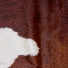 Cowhide Rug FEB26-009 (220cm x 170cm)