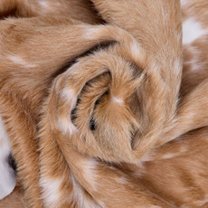 Cowhide Rug FEB26-020 (240cm x 200cm)