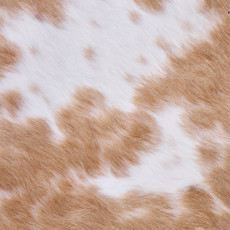 Cowhide Rug FEB26-020 (240cm x 200cm)