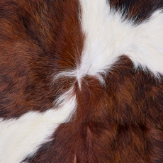 Cowhide Rug FEB26-021 (210cm x 190cm)