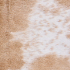 Cowhide Rug FEB26-028 (240cm x 210cm)