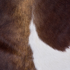Cowhide Rug FEB26-038 (210cm x 170cm)