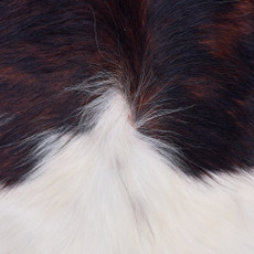 Cowhide Rug FEB26-039 (220cm x 190cm)