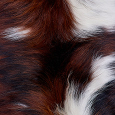 Cowhide Rug FEB26-041 (180cm x 190cm)