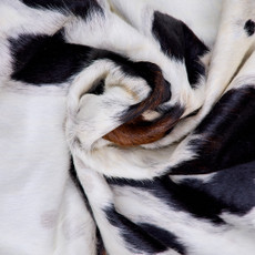 Cowhide Rug FEB26-051 (230cm x 200cm)