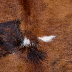 Cowhide Rug FEB26-062 (200cm x 180cm)