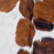 Cowhide Rug FEB26-062 (200cm x 180cm)