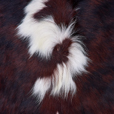 Cowhide Rug FEB26-066 (200cm x 210cm)