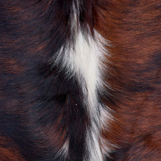 Cowhide Rug FEB26-071 (210cm x 190cm)