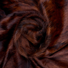 Cowhide Rug FEB26-080 (220cm x 200cm)