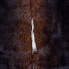 Cowhide Rug FEB26-083 (210cm x 210cm)