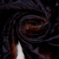 Cowhide Rug FEB26-085 (210cm x 200cm)