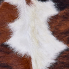 Cowhide Rug FEB26-089 (170cm x 170cm)
