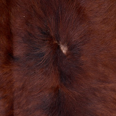 Cowhide Rug FEB26-097 (190cm x 190cm)
