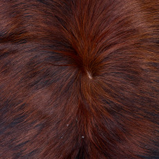 Cowhide Rug FEB26-099 (200cm x 190cm)