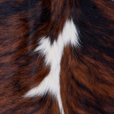 Cowhide Rug FEB26-107 (170cm x 160cm)