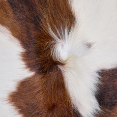 Cowhide Rug FEB26-108 (200cm x 190cm)