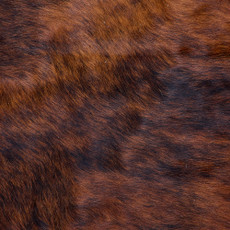 Cowhide Rug FEB26-111 (220cm x 230cm)