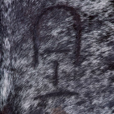 Cowhide Rug FEB26-114 (220cm x 180cm)