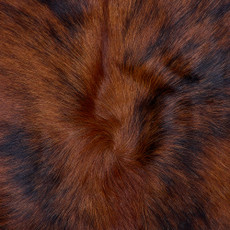 Cowhide Rug FEB26-124 (200cm x 170cm)
