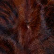 Cowhide Rug FEB26-132 (220cm x 210cm)