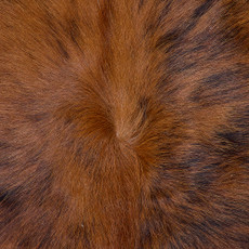Cowhide Rug FEB26-133 (190cm x 170cm)