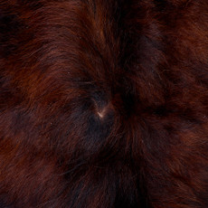 Cowhide Rug FEB26-134 (190cm x 170cm)