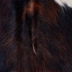 Cowhide Rug FEB26-139 (210cm x 190cm)