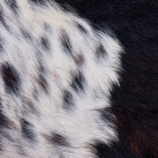 Cowhide Rug FEB26-139 (210cm x 190cm)