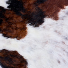 Cowhide Rug AUG26-007 (200cm x 180cm)