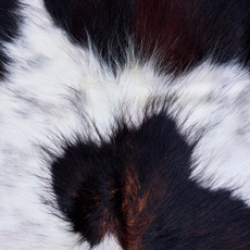 Cowhide Rug AUG26-011 (225cm x 190cm)