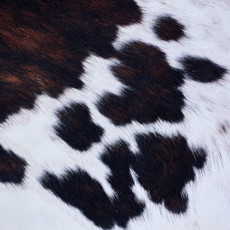 Cowhide Rug AUG26-011 (225cm x 190cm)