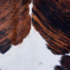 Cowhide Rug AUG26-015 (205cm x 200cm)