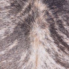 Cowhide Rug AUG26-021 (220cm x 200cm)