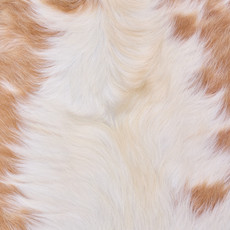Cowhide Rug AUG26-022 (220cm x 210cm)