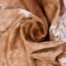 Cowhide Rug AUG26-024 (250cm x 220cm)