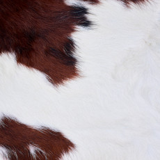 Cowhide Rug AUG26-025 (200cm x 190cm)
