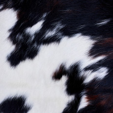 Cowhide Rug AUG26-026 (210cm x 200cm)