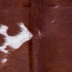 Cowhide Rug AUG26-028 (240cm x 230cm)