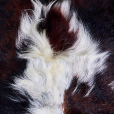 Cowhide Rug AUG26-036 (220cm x 190cm)