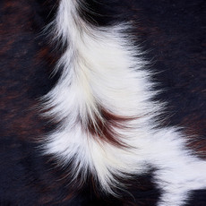 Cowhide Rug AUG26-038 (190cm x 180cm)