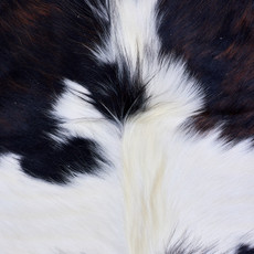 Cowhide Rug AUG26-039 (190cm x 170cm)