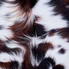 Cowhide Rug AUG26-040 (180cm x 180cm)