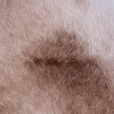 Cowhide Rug AUG26-042 (230cm x 210cm)