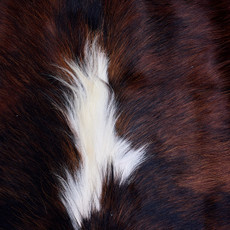 Cowhide Rug AUG26-044 (200cm x 190cm)