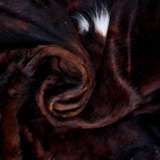 Cowhide Rug AUG26-052 (200cm x 190cm)